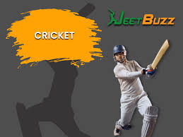Jeetbuzz Cricket Betting bangladesh